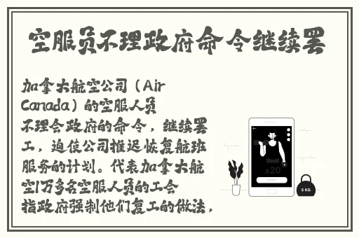 国产精品视频免费的
